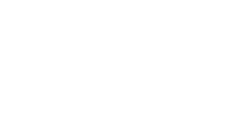 See Forward Fund logotype